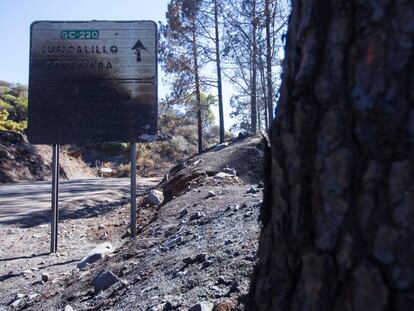 Una señal de tráfico quemada en Gáldar (Gran Canaria).