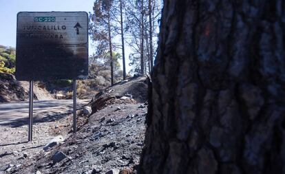 Una señal de tráfico quemada en Gáldar (Gran Canaria).