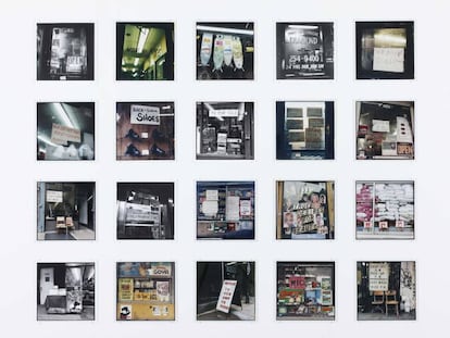 &#039;Analogue&#039;, de Zoe Leonard.