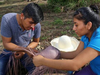 Productores de Jipijapa, México, participan en proyecto de conservación y protección de los bosques.