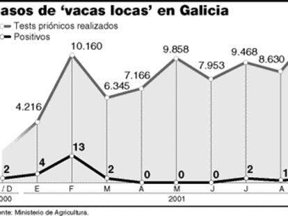 Casos