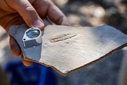 Marugán muestra una laja de piedra caliza y la lupa con la que se estudian las piezas en el terreno. El segundo día de campaña de este año los estudiantes del yacimiento hicieron un pedido por internet con entrega en la residencia de Cuenca en la que se alojan para poder disponer cada uno de uno. 