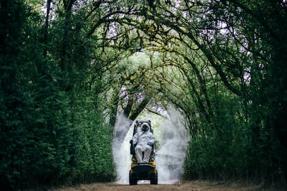 El jardinero Ignacio Valladares aplica el tratamiento fitosanitario en un pasadizo de boj en los jardines del Pazo de Oca, con la nueva máquina ideada para trabajar en este espacio singular.