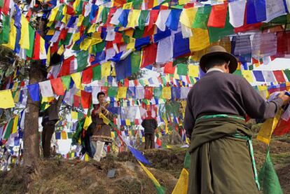 Banderines de oración tibetanos en McLeod Ganj, en Dharamsala (India).