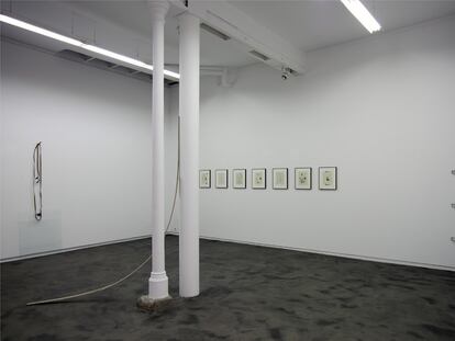 Instalación de Mauro Cerqueira y Julia Spínola, en la galería Heinrich Ehrhartd.
