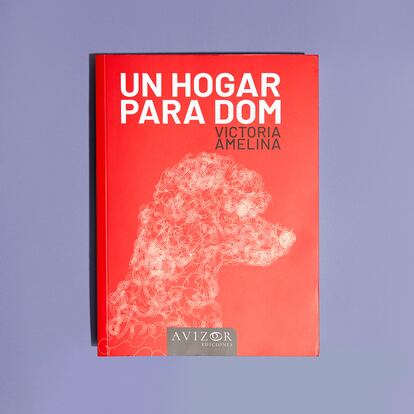 Un hogar para Dom (Avizor Ediciones) puede ser una lectura y un homenaje: la novela de Victoria Amelina, que falleció recientemente tras un bombardeo ruso en Kramatorsk, sirve para conocer mejor la convulsa historia de su país, Ucrania.