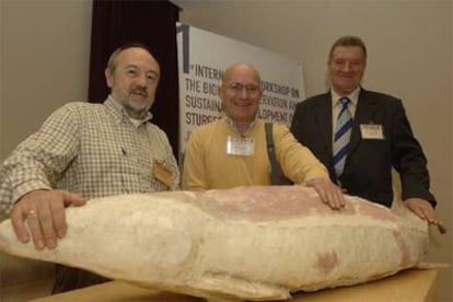 José Antonio Hernando, Patrick Williot e Ígor Burtsev, de izquierda a derecha, con un molde del último esturión.