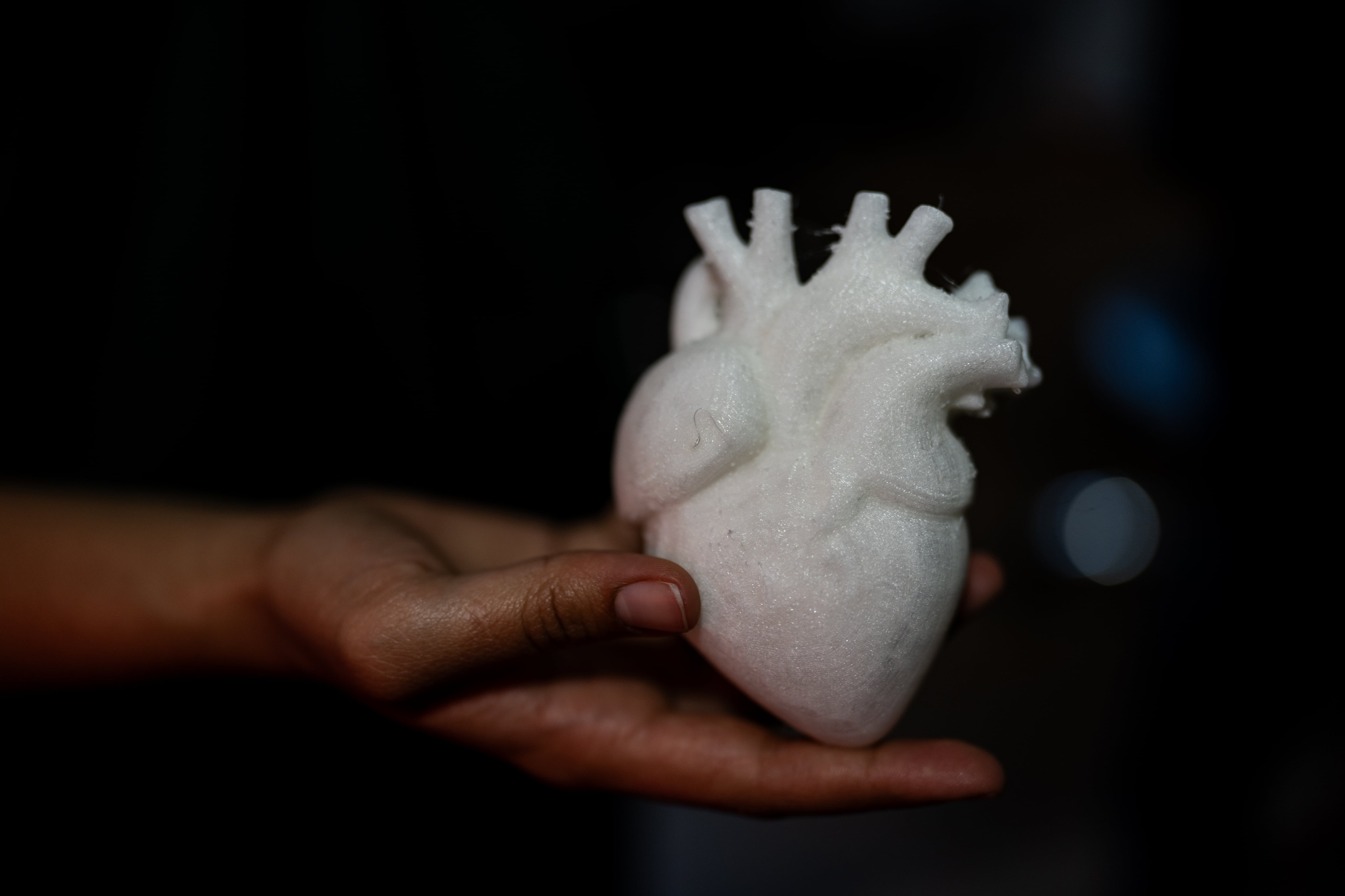 Corazón en modelado 3D, en LaCardio.