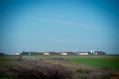 Macrogranja porcina en Cerecinos (Zamora). 