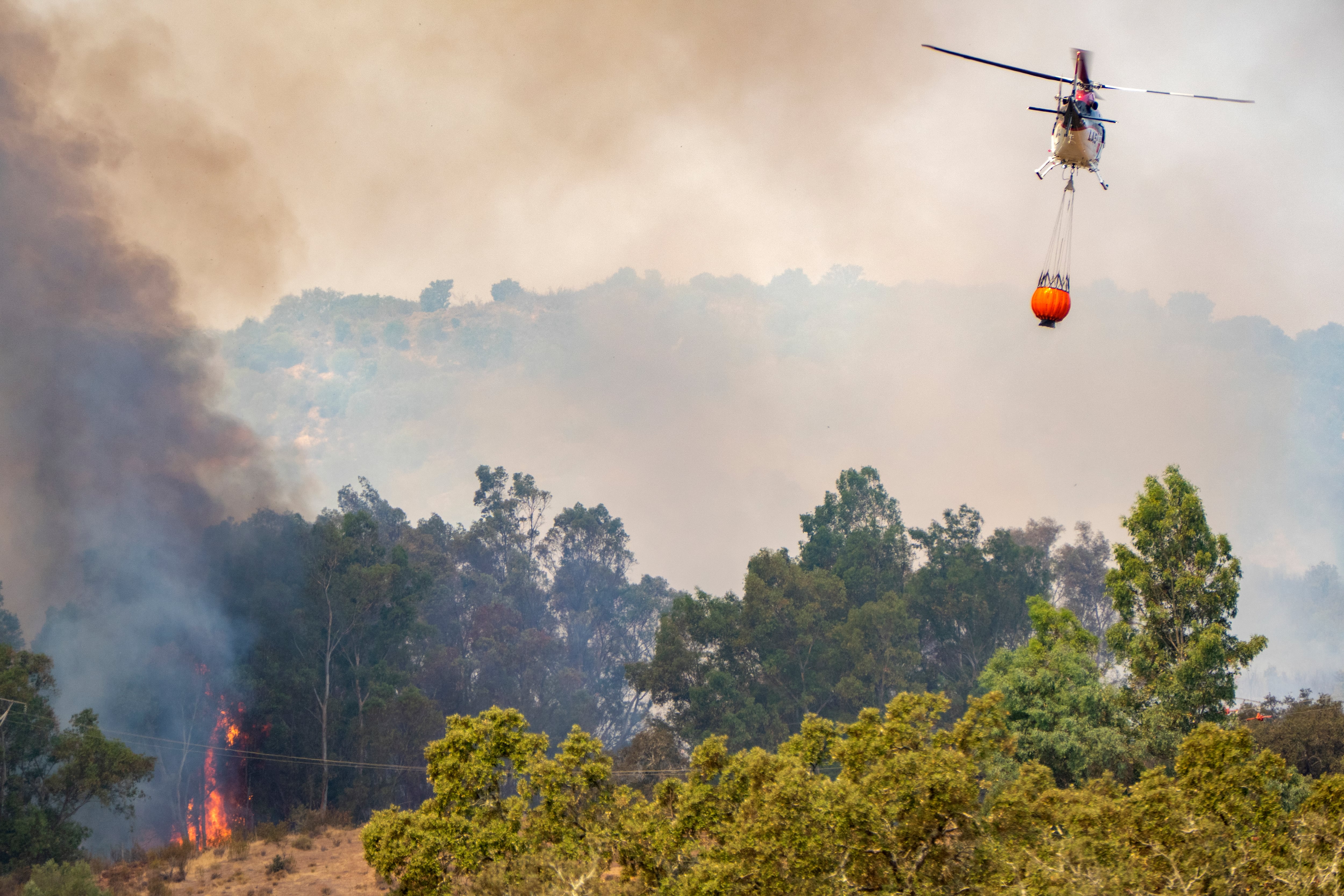 Última hora de los incendios forestales, en directo | La Junta de Andalucía ordena el desalojo de los 382 vecinos de Villanueva de las Cruces (Huelva)