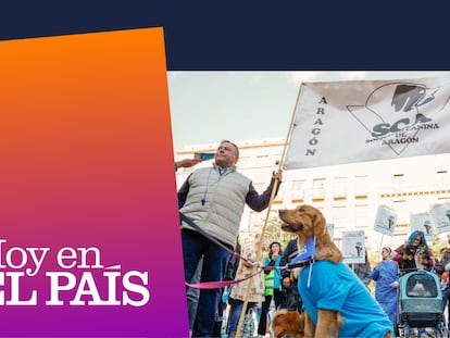 ‘Podcast’ | ¿Nos va a salir más caro ir al veterinario?