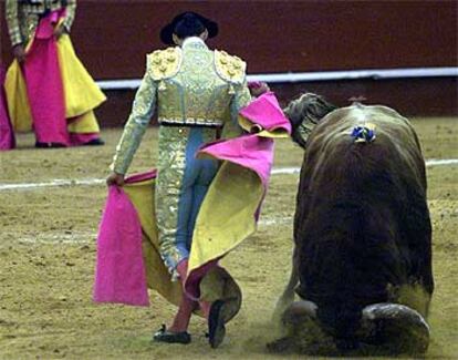 El quinto toro, a punto de inmolarse a la salida de una chicuelina de El Califa.