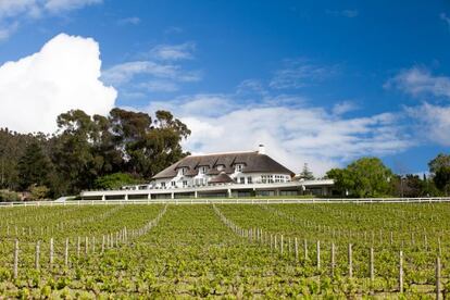 Los vi&ntilde;edos frente a Mont Rochelle, el hotel adquirido por Richard Branson en Sud&aacute;frica.