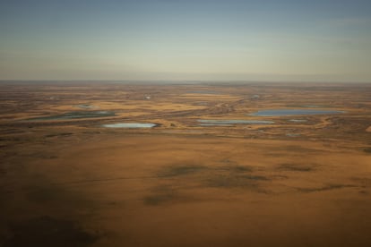 El cambio climático ha intensificado las sequías en el delta del Paraná. Entre 2020 y 2022, Argentina ha sufrido un importante déficit hídrico. Según el Sistema de Información sobre Sequías para el Sur de Sudamérica (Sissa), a mitad del año pasado sólo al 33% del territorio no le faltaba humedad en el suelo. 

