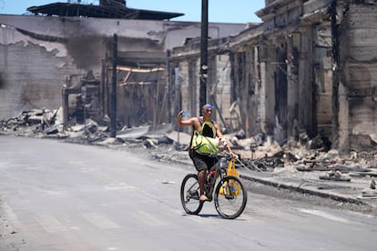 Un hombre y su perro pasean por Main Street, entre los escombros causados por el incendio forestal, este viernes 11 de agosto en Lahaina (Hawái). 