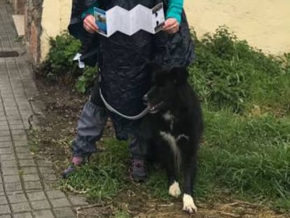 Mari Carmen Astigarraga shows her “pilgrim” certificate, next to Neo, upon their arrival at Santiago de Compostela.