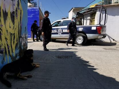 Un perro, frente a elementos de la policía de Oaxaca, tras ser visto con una extremidad humana en su hocico.