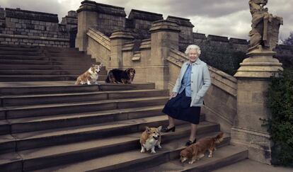 La reina de Inglaterra, con su perros.