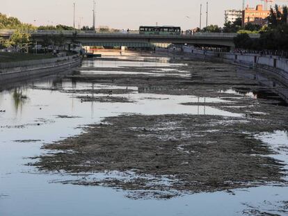 Tramo del río Manzanares que se está volviendo a embalsar.