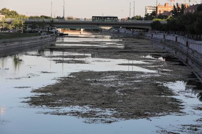 Tramo del río Manzanares que se está volviendo a embalsar.