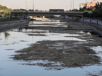 Tramo del río Manzanares que se está volviendo a embalsar.