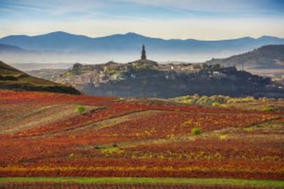 Viñedos riojanos con el pueblo de Briones al fondo.