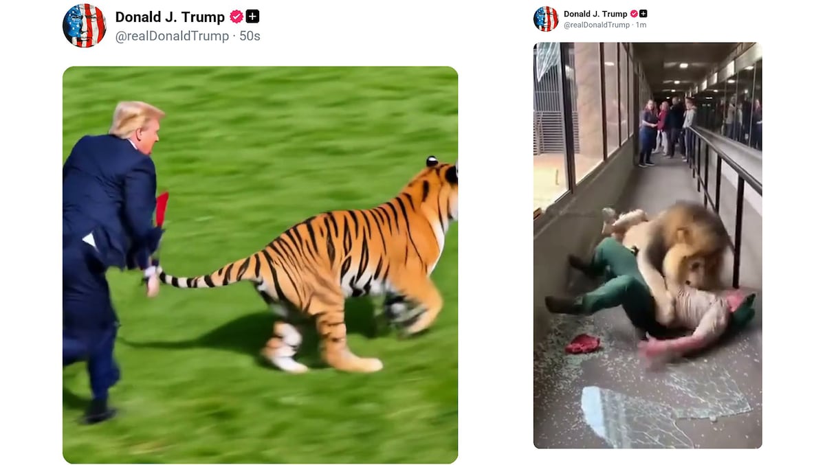 Family of Tiger Attack Victim Pleads for Privacy