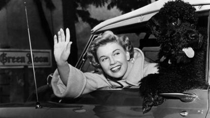 Doris Day, con su caniche en 1955.