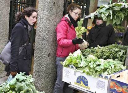 Dos jóvenes, ayer, en un puesto de verduras del Mercado de Abastos de Santiago.