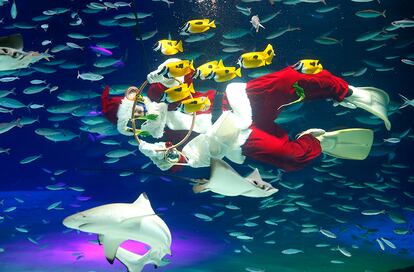 Un buzo disfrazado de Santa Claus da de comer a los peces en el Acuario de Tokio (Japón), el 6 de diciembre de 2016.