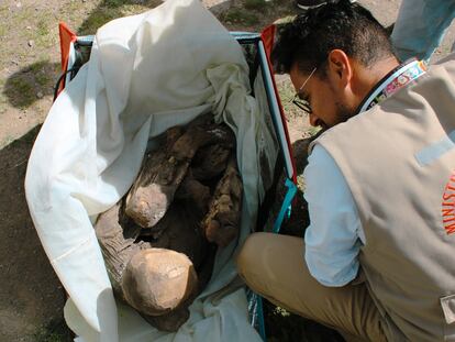Un trabajador del ministerio de Cultura inspecciona la mochila y la momia, en Puno (Perú), el pasado 25 de febrero.