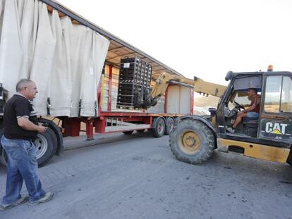 Un operario carga un cami&oacute;n con tomates destinados a la exportaci&oacute;n. 