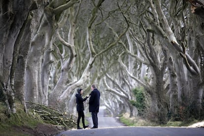 Un periodista entrevista a un político local tras la fuerte tormenta que derribó dos hayas cerca de Ballymoney, Irlanda del Norte.