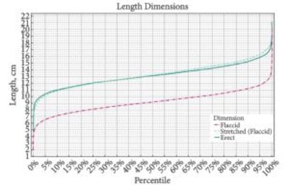 Gráfico do estudo que mostra o comprimento dos 15.000 pênis medidos, com 13 centímetros de média.