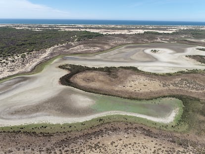 Vista aérea de la laguna permanente de Santa Olalla, en Doñana, seca por completo este viernes.