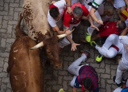 Toros de Pedraza de Yeltes han protagonizado el cuarto encierro de San Fermín 2016.