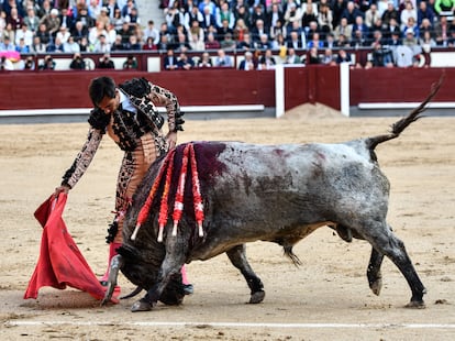 Gómez del Pilar, el pasado 14 de mayo de 2023, en Las Ventas, ante un toro de José Escolar.