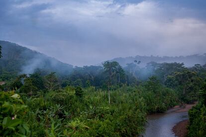 Un río en la Amazonía ecuatoriana.