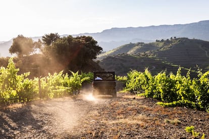 Paseo en 'buggy' por los viñedos de la bodega Perinet.