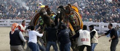 Un combate el pasado 19 de enero en el festival de Selcuk.