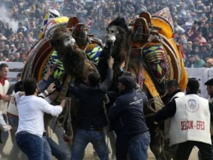 Un combate el pasado 19 de enero en el festival de Selcuk.