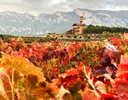 Vista de los viñedos y el hotel de la bodega Eguren Ugarte, en la localidad de Laguardia (Álava).