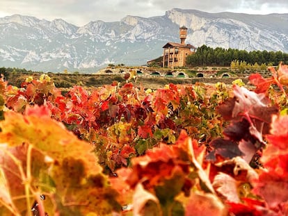 Vista de los viñedos y el hotel de la bodega Eguren Ugarte, en la localidad de Laguardia (Álava).