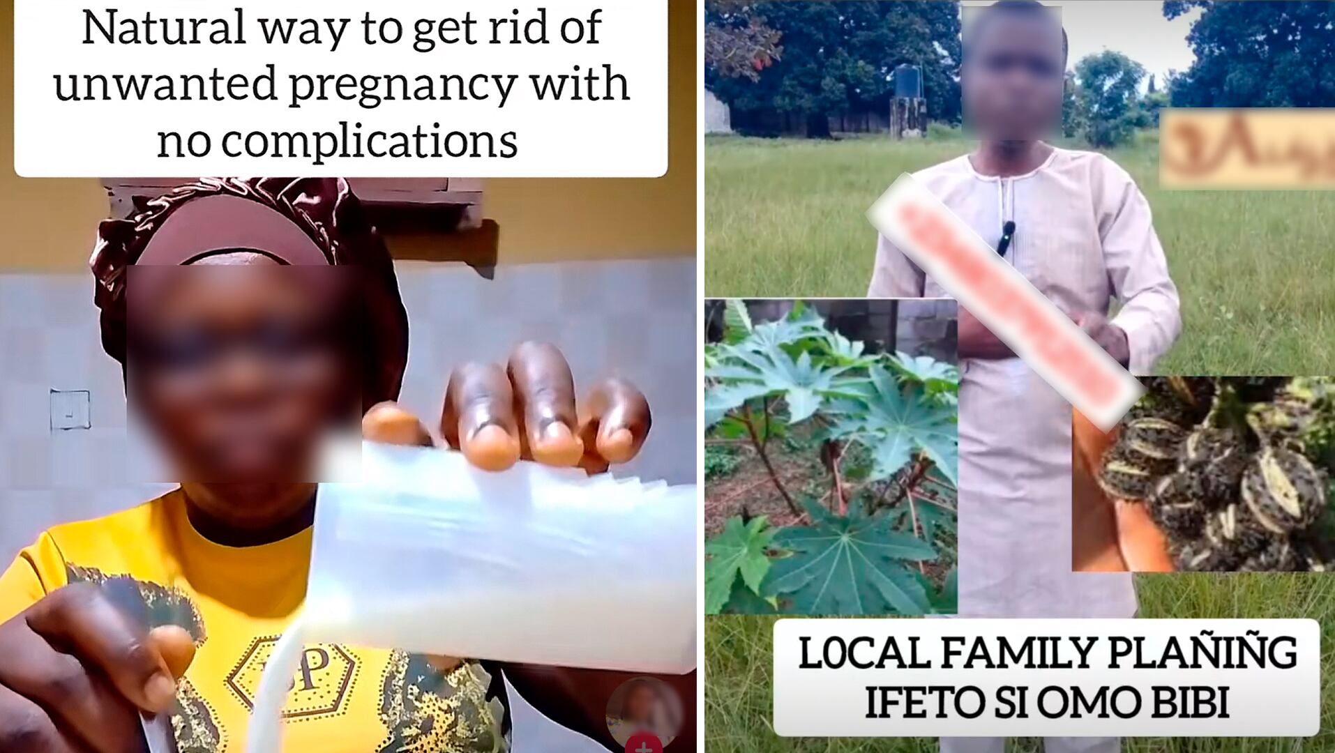 Hierbas abortivas en la era de TikTok: las peligrosas recetas que circulan por las redes en Nigeria