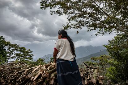 Aldama, Estado de Chiapas