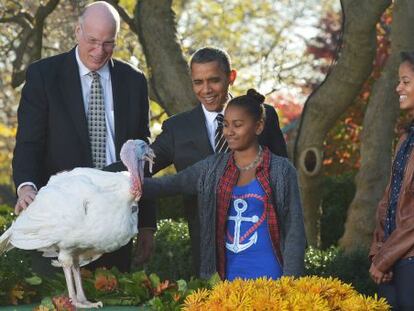 Sasha y Obama acarician a 'Cobbler' ante la mirada de Malia y el presidente de la Asociación Nacional del Pavo.