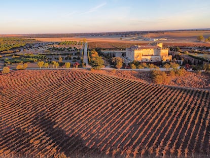 Viñedos de la Posada Real Castillo del Buen Amor en Villanueva de Cañedo, una localidad con 11 habitantes perteneciente al municipio de Topas.