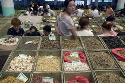 Vendedores chinos de productos de medicina natural, en Anguo, al sureste de Pekín.