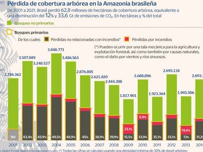 Cobertura arbórea Amazonas