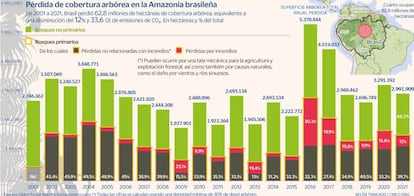 Cobertura arbórea Amazonas